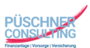 Pueschner Consulting